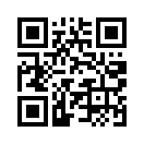 QR CODE 335