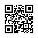 QR CODE 339