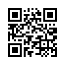 QR CODE 341