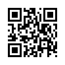 QR CODE 343