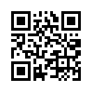 QR CODE 344