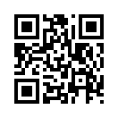 QR CODE 366