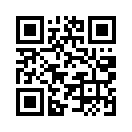 QR CODE 377