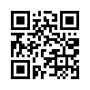QR CODE 378
