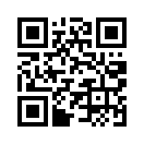QR CODE 379