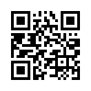 QR CODE 384