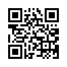 QR CODE 384