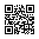 QR CODE 385