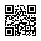 QR CODE 388