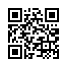 QR CODE 389