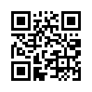 QR CODE 391