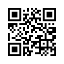 QR CODE 393