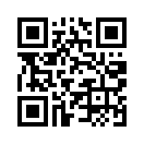 QR CODE 394