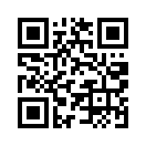 QR CODE 397
