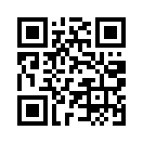 QR CODE 399
