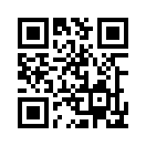 QR CODE 401