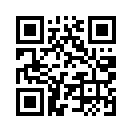 QR CODE 411