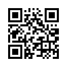QR CODE 421
