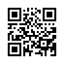 QR CODE 110