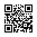 QR CODE 132