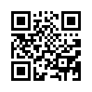 QR CODE 133
