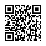 QR CODE 110