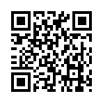 QR CODE 125