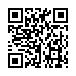 QR CODE 133