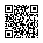 QR CODE 17
