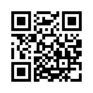 QR CODE 23