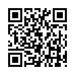 QR CODE 256