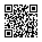 QR CODE 258