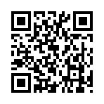 QR CODE 295