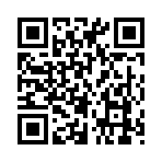 QR CODE 317