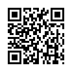 QR CODE 329