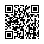 QR CODE 331