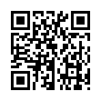 QR CODE 333