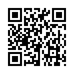 QR CODE 336