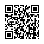 QR CODE 341