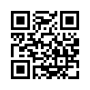 QR CODE 36