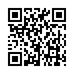 QR CODE 377