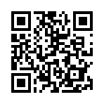 QR CODE 384