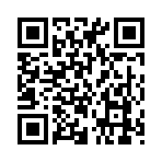 QR CODE 394