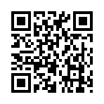 QR CODE 397
