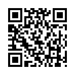 QR CODE 40
