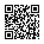 QR CODE 409