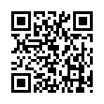 QR CODE 410