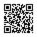 QR CODE 411