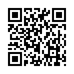 QR CODE 413