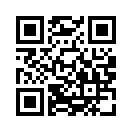 QR CODE 42